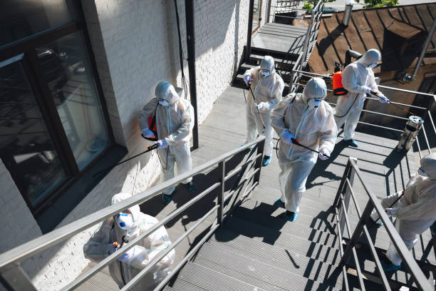 Best Residential Mold Inspection & Testing  in La Verkin, UT