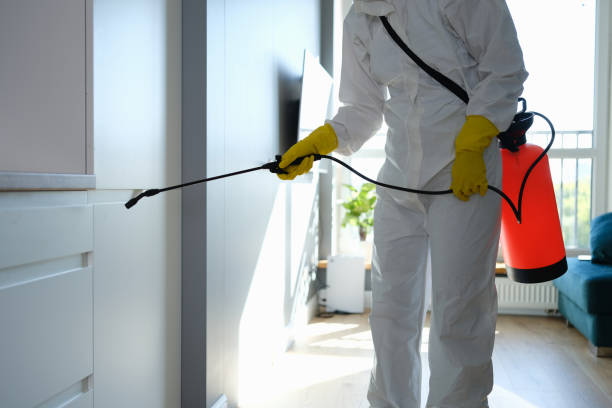 Best Biohazard Mold Removal  in La Verkin, UT