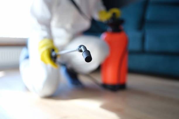 Best Commercial Mold Inspection  in La Verkin, UT