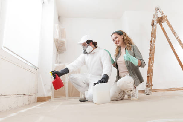 Best Industrial Mold Remediation  in La Verkin, UT